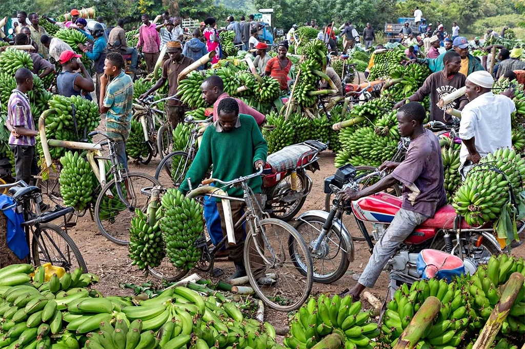 best-cultural-experiences-in-kisoro