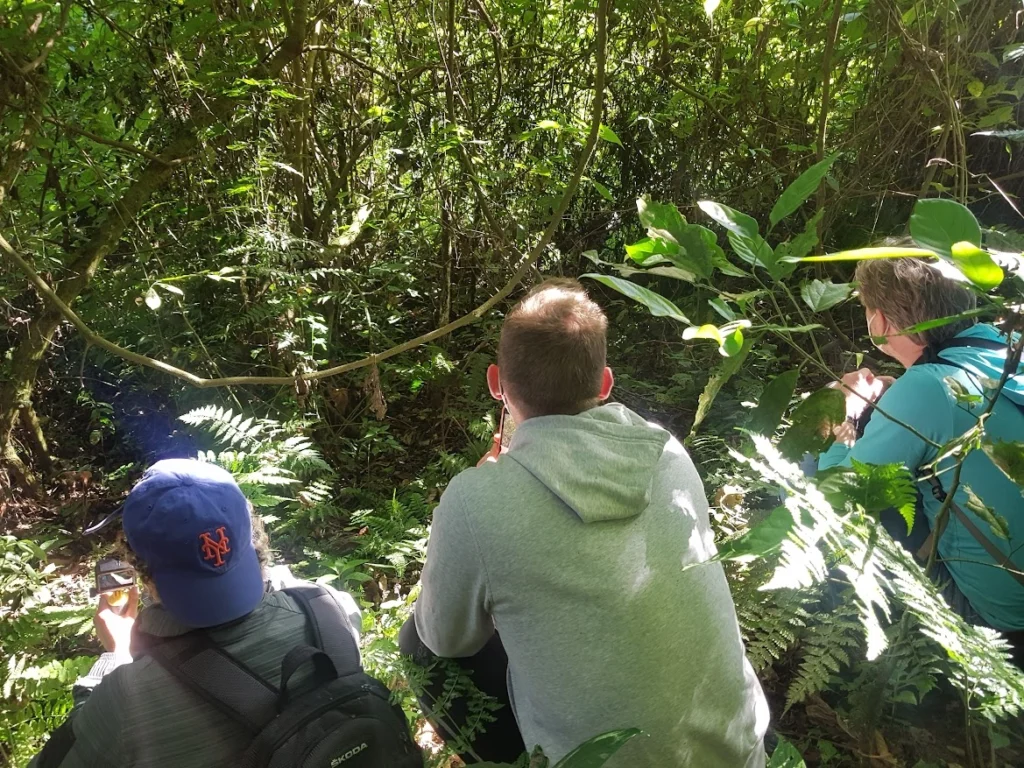 Combining Bakiga Community with Gorilla Trekking in Bwindi Impenetrable Forest National Park